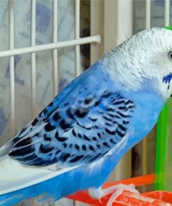 The Blue Parakeet Diamond Painting