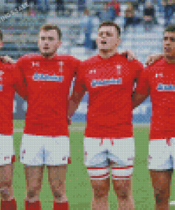 Wales Rugby Union Team Diamond Paintings