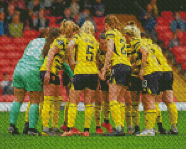Watford Football Club Female Team Diamond Paintings