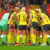Watford Football Club Female Team Diamond Painting