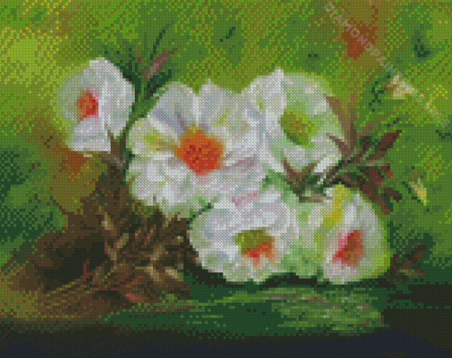 White Musk Rose Plants Diamond Paintings