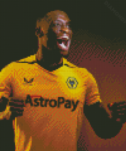 Wolverhampton Wolves Football Player Diamond Paintings