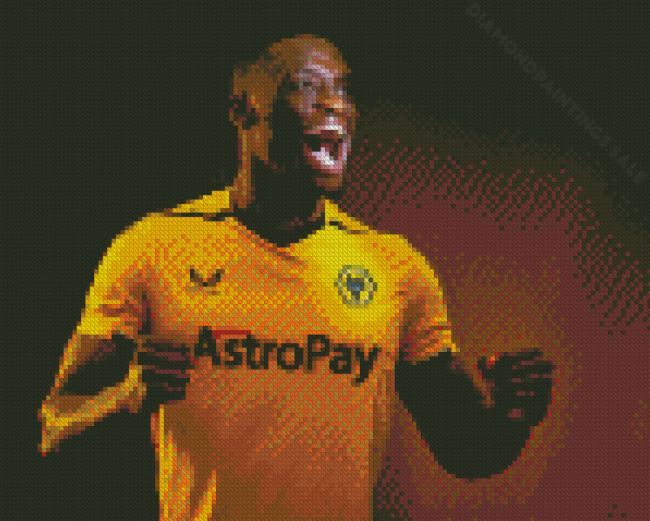 Wolverhampton Wolves Football Player Diamond Paintings