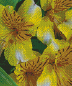 Yellow Alstroemeria Flowers Diamond Paintings