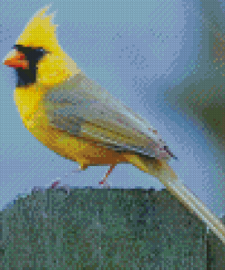 Yellow Cardinal Bird Diamond Paintings