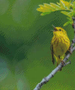 Yellow Warbler On Stick Diamond Paintings