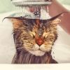 Adorable Cat Shower Diamond Painting
