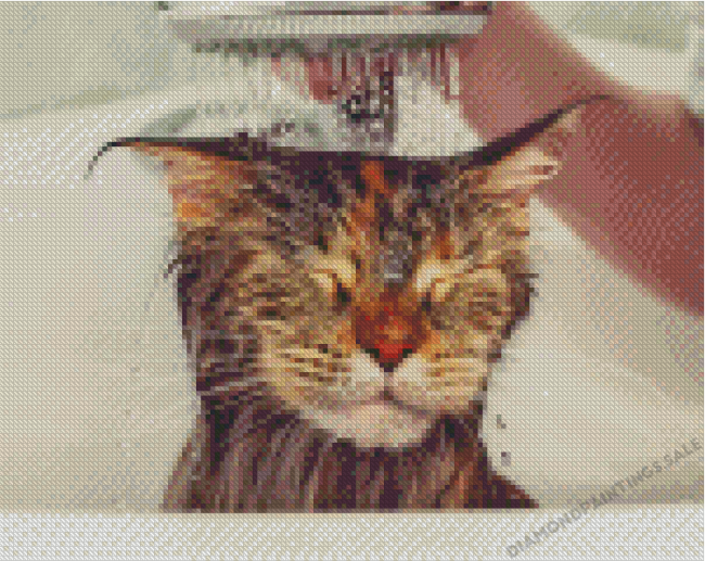 Adorable Cat Shower Diamond Paintings