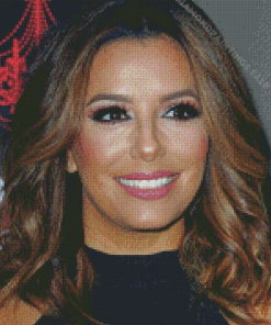 Aesthetic Eva Longoria Diamond Paintings