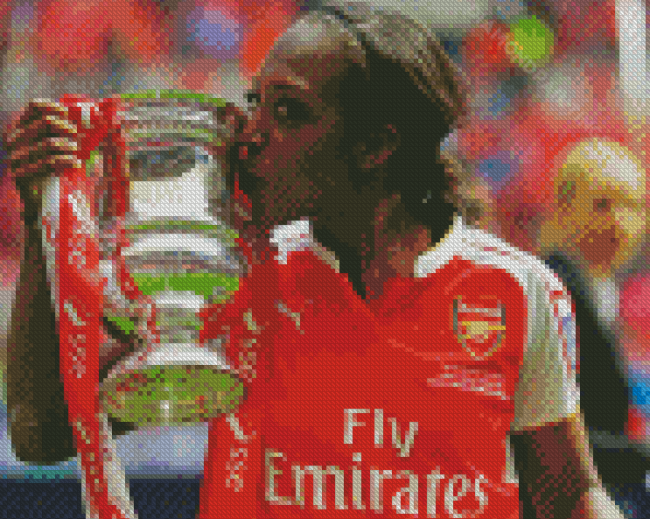 Arsenal Women Player Diamond Paintings