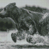 Black And White Bear Running In Water Diamond Paintings