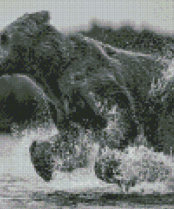 Black And White Bear Running In Water Diamond Paintings