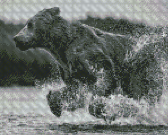 Black And White Bear Running In Water Diamond Paintings