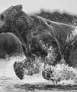 Black And White Bear Running In Water Diamond Painting