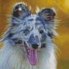 Blue Merle Dog Diamond Paintings