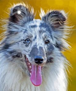 Blue Merle Dog Diamond Painting