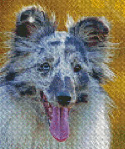 Blue Merle Dog Diamond Paintings