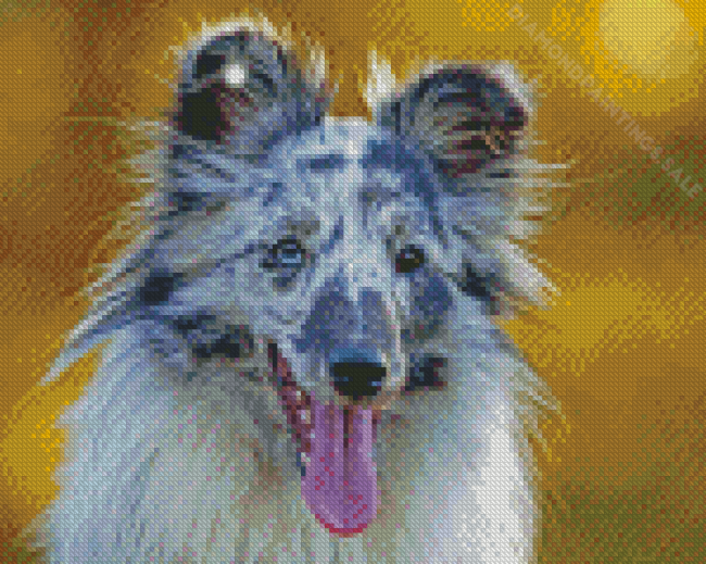 Blue Merle Dog Diamond Paintings