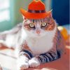 Cat With Summer Hat Diamond Painting