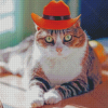 Cat With Summer Hat Diamond Paintings