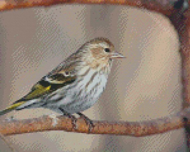 Cool Eurasian Siskin Diamond Painting