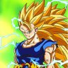 Dragon Ball Z Super Saiyan 3 Diamond Painting