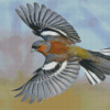 Chaffinch Bird Diamond Paintings