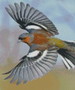 Chaffinch Bird Diamond Paintings