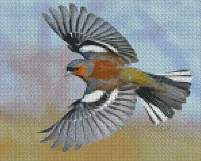 Chaffinch Bird Diamond Paintings