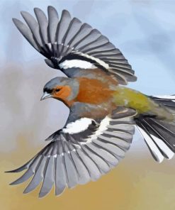 Chaffinch Bird Diamond Painting