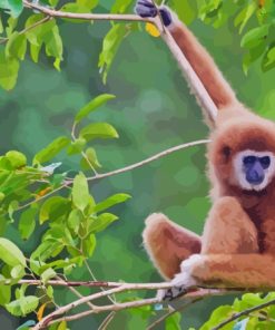 Gibbon On Tree Diamond Painting