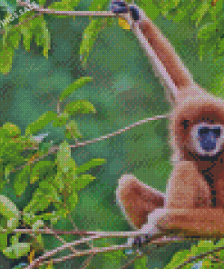 Gibbon On Tree Diamond Paintings