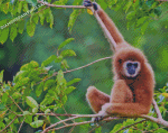 Gibbon On Tree Diamond Paintings