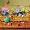 Kittens With Yarn Basket Diamond Painting