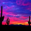 Purple Sunset Arizona Diamond Painting