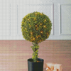 Topiary Tree With Christmas Lights Diamond Paintings