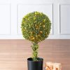 Topiary Tree With Christmas Lights Diamond Painting