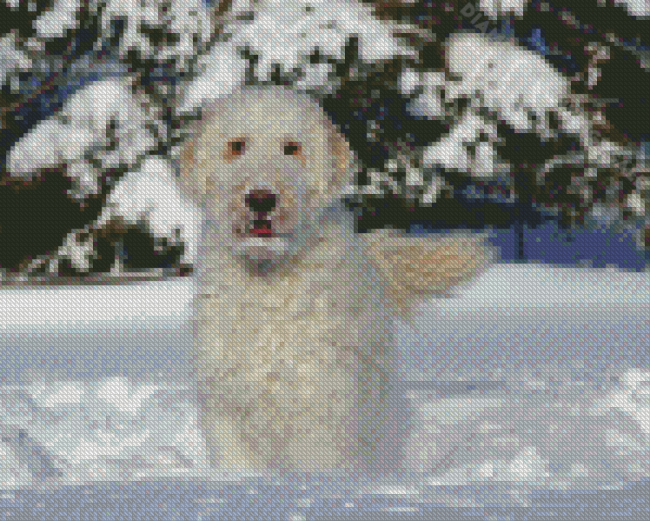 White Goldendoodle Dog In Snow Diamond Paintings