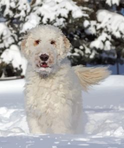 White Goldendoodle Dog In Snow Diamond Painting