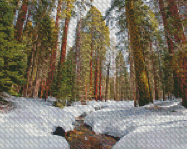 Winter In Sequoia National Park Diamond Paintings