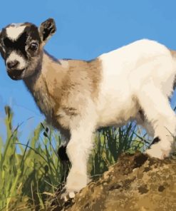 Baby Goat Diamond Painting