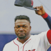 Baseball Designated Hitter David Ortiz Diamond Paintings