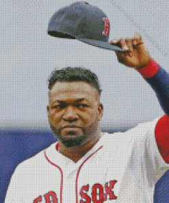 Baseball Designated Hitter David Ortiz Diamond Paintings