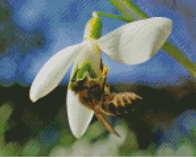 Bee In Snowdrop Diamond Paintings