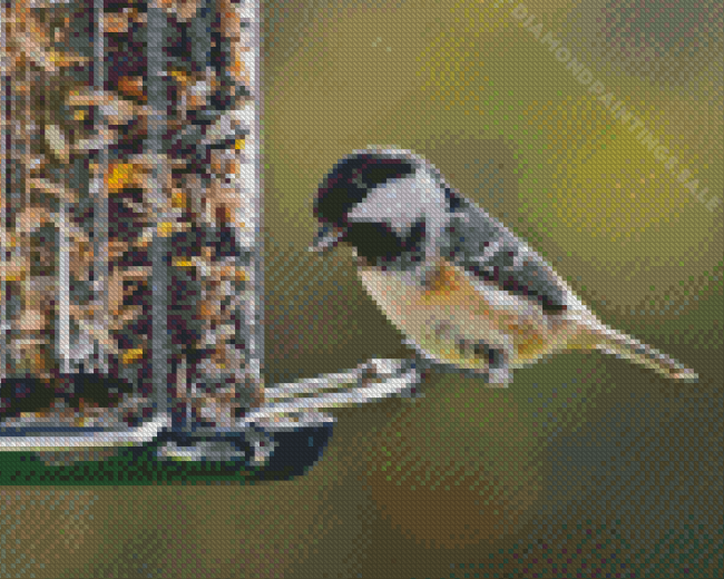 Bird At Bird Feeder Diamond Paintings