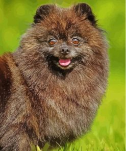 Black And Brindle Pomchi Diamond Painting