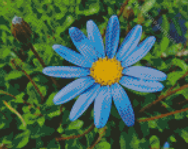 Blue Daisies Diamond Paintings