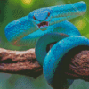 Blue Snake On Tree Diamond Paintings