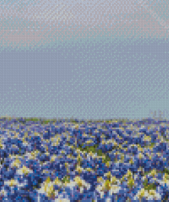 Blue Wildflowers Field Diamond Paintings