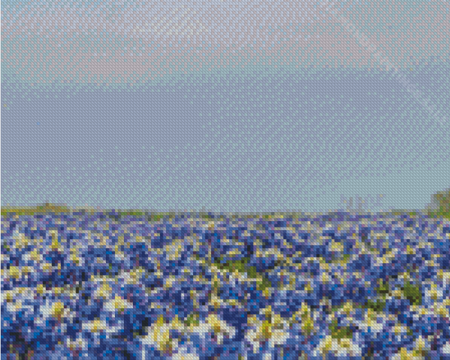 Blue Wildflowers Field Diamond Paintings